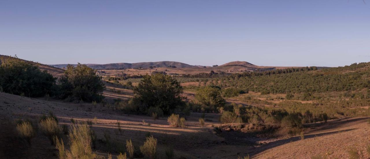 Posada La Serena Minas Eksteriør billede
