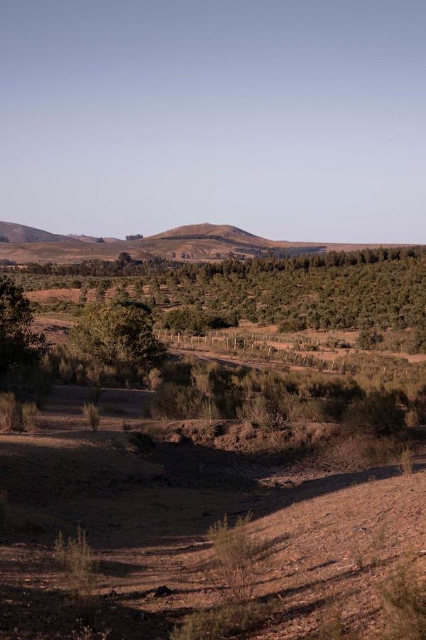Posada La Serena Minas Eksteriør billede
